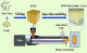 glass filled PA injection molding