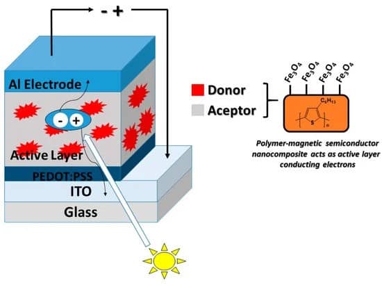 Conductive and Magnetic Polymers